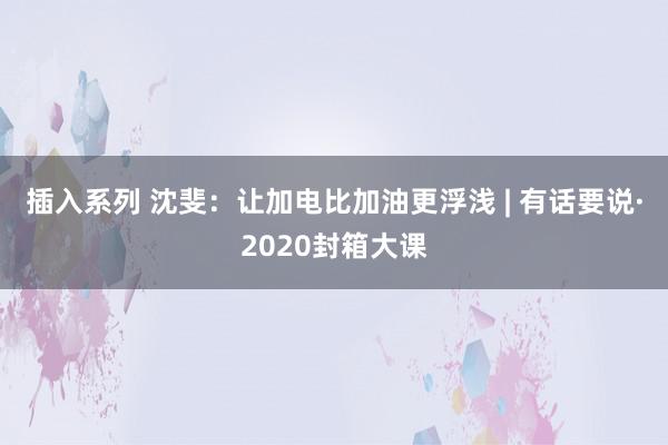 插入系列 沈斐：让加电比加油更浮浅 | 有话要说·2020封箱大课