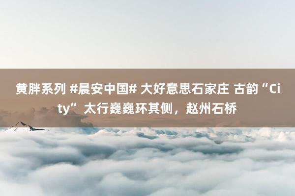 黄胖系列 #晨安中国# 大好意思石家庄 古韵“City” 太行巍巍环其侧，赵州石桥