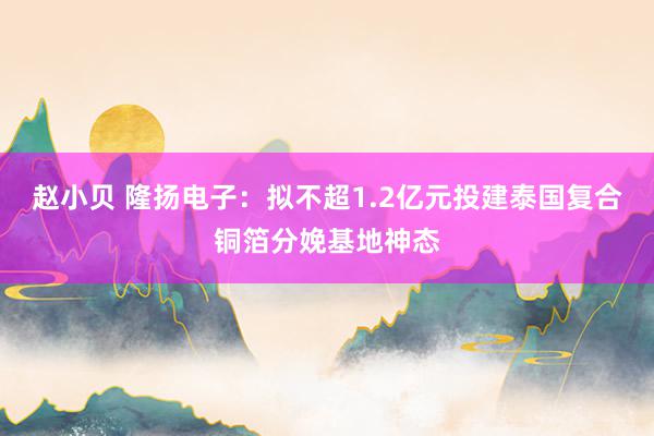 赵小贝 隆扬电子：拟不超1.2亿元投建泰国复合铜箔分娩基地神态
