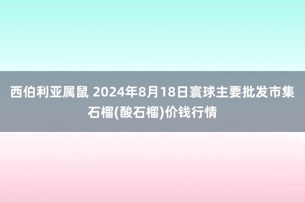 西伯利亚属鼠 2024年8月18日寰球主要批发市集石榴(酸石榴)价钱行情