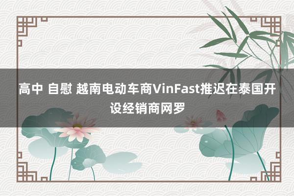 高中 自慰 越南电动车商VinFast推迟在泰国开设经销商网罗