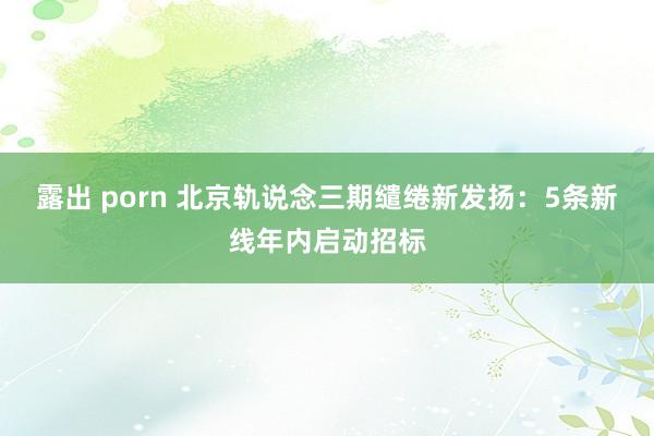 露出 porn 北京轨说念三期缱绻新发扬：5条新线年内启动招标