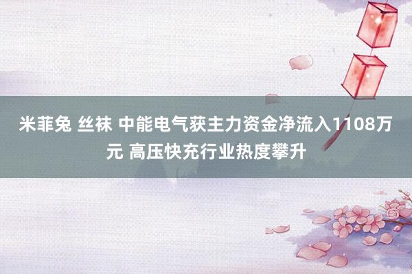 米菲兔 丝袜 中能电气获主力资金净流入1108万元 高压快充行业热度攀升