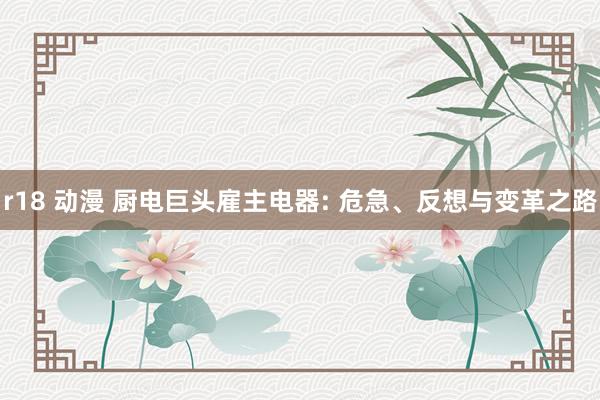 r18 动漫 厨电巨头雇主电器: 危急、反想与变革之路