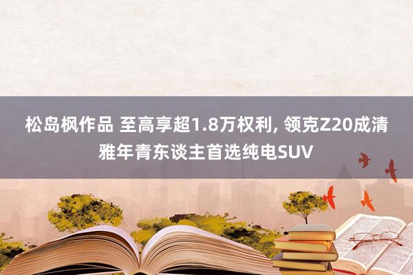 松岛枫作品 至高享超1.8万权利, 领克Z20成清雅年青东谈主首选纯电SUV