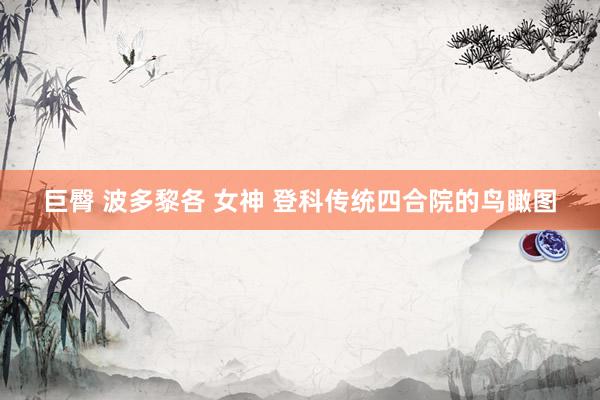 巨臀 波多黎各 女神 登科传统四合院的鸟瞰图