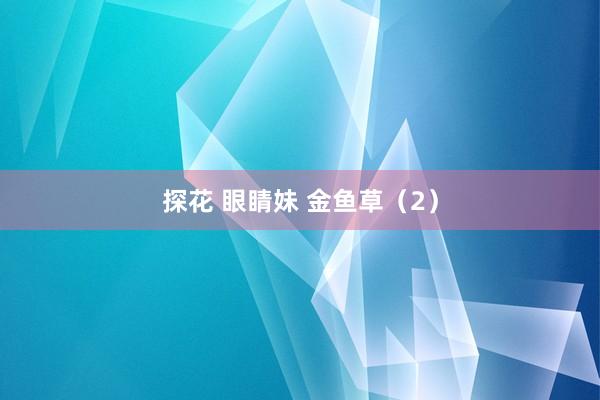 探花 眼睛妹 金鱼草（2）