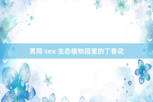 男同 sex 生态植物园里的丁香花